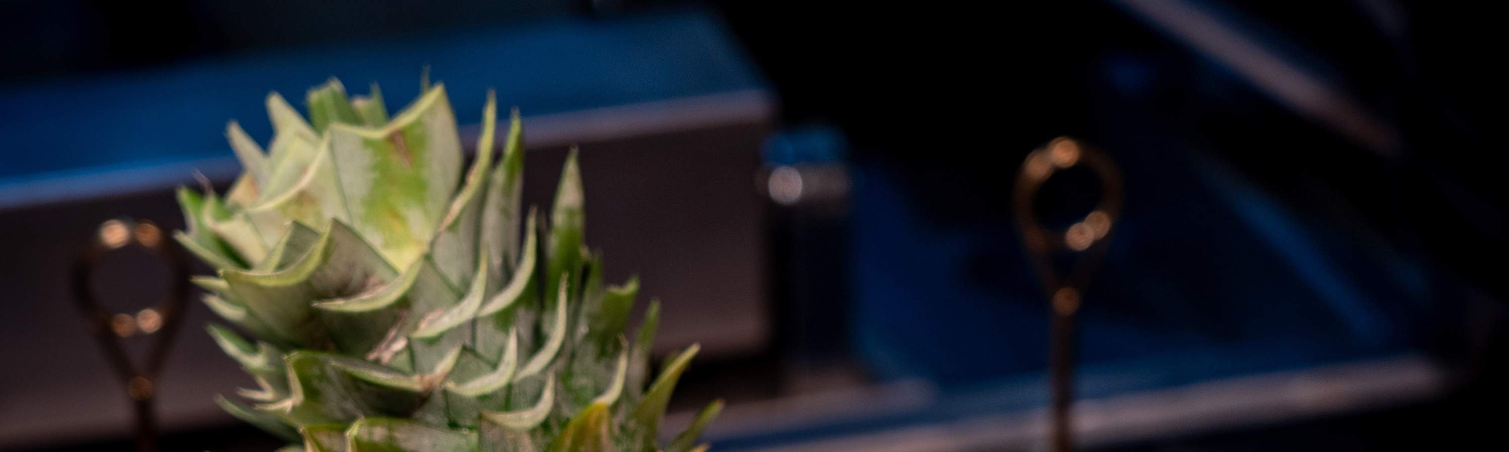 Khuyến mãi đồ ăn Buffet tối